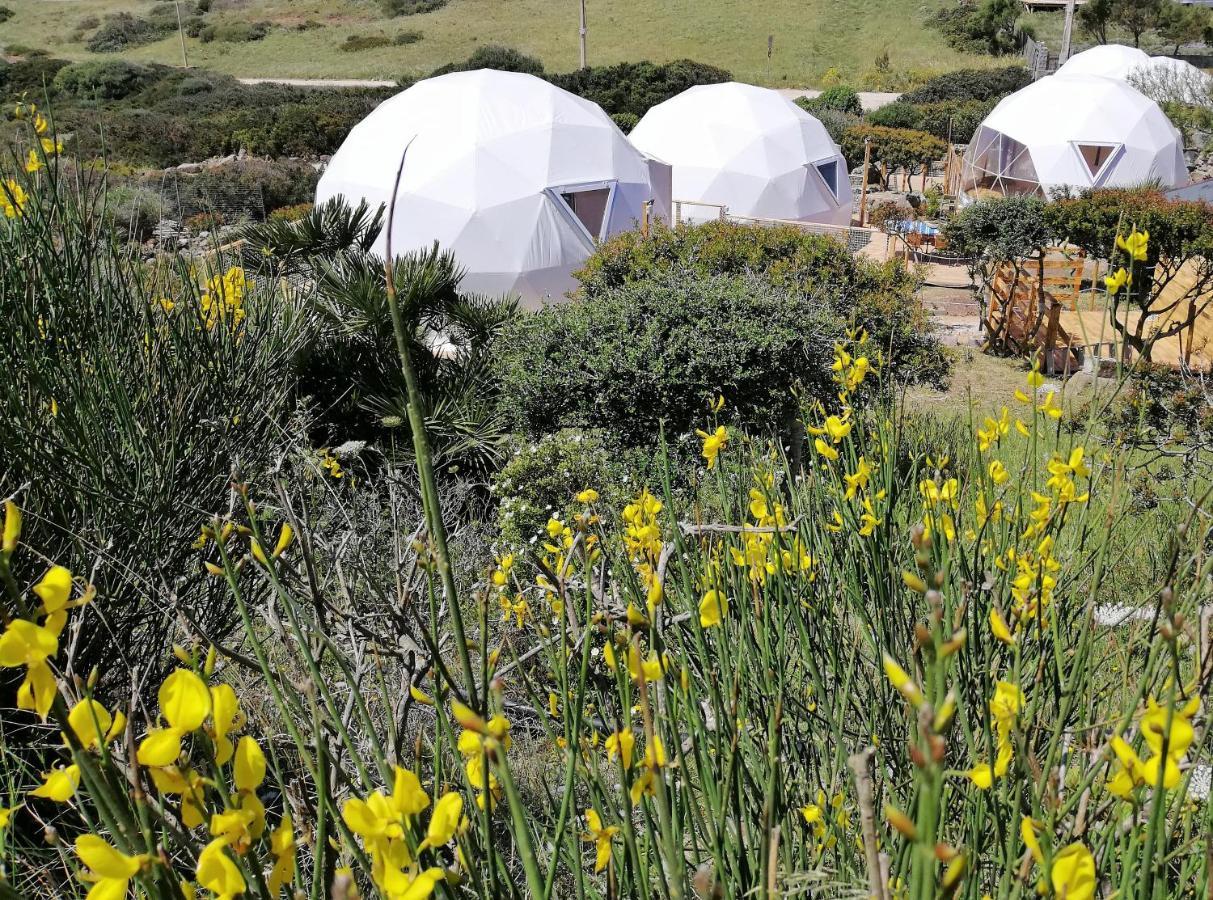 B&B Glamping Semaforo Capo Sperone ซานตันตีโอโก ภายนอก รูปภาพ