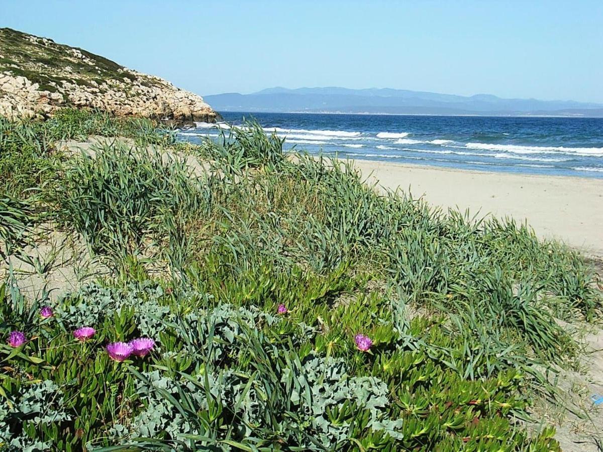 B&B Glamping Semaforo Capo Sperone ซานตันตีโอโก ภายนอก รูปภาพ
