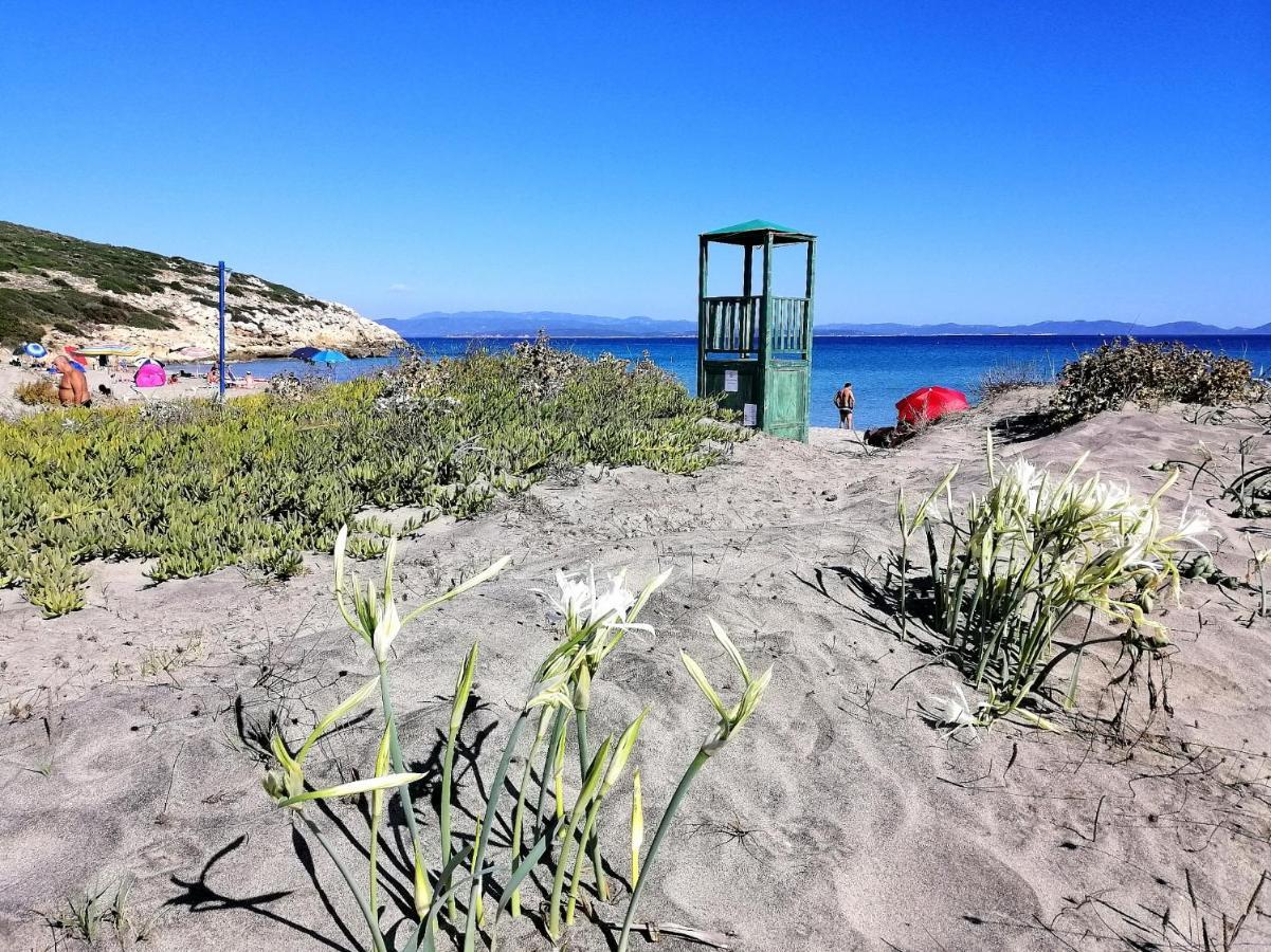 B&B Glamping Semaforo Capo Sperone ซานตันตีโอโก ภายนอก รูปภาพ